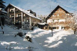 Hotel Berghof Willingen  Kültér fotó